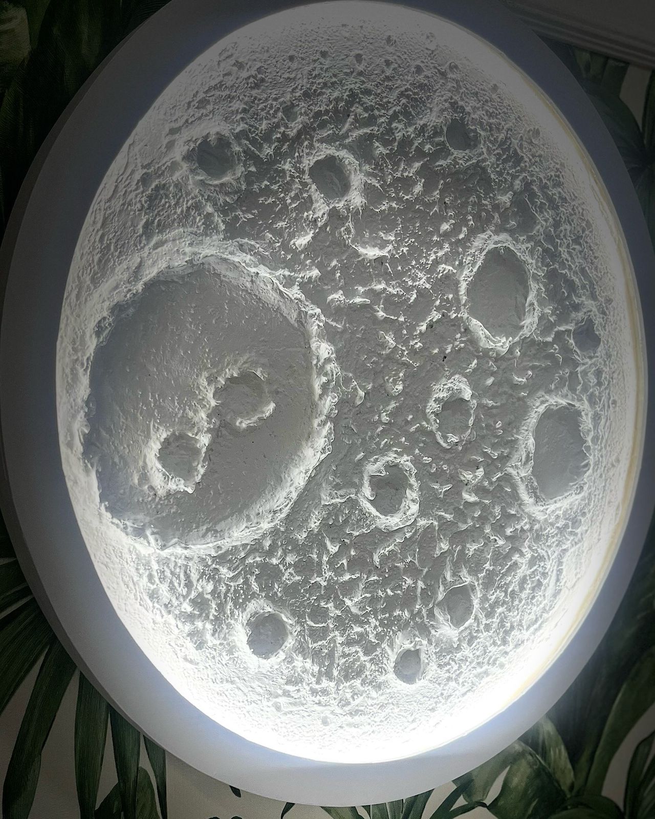 lunas (4)